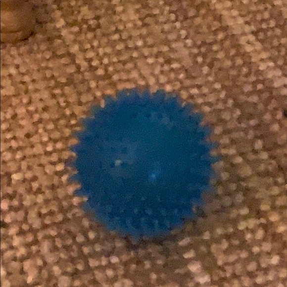 Meet your Posher, Angus pawloski - Picture 1 of 1